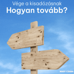 Megjelent adózási kisokosunk katásoknak - vásárolja meg, megéri!