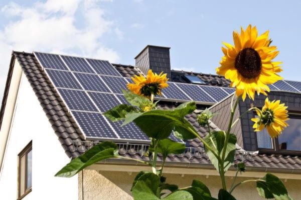 Napenergia Plusz: a támogatások felét kifizették