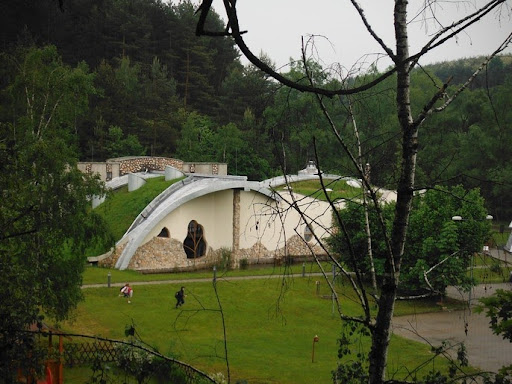 Zöldtetők - mit kell tudnunk róluk?